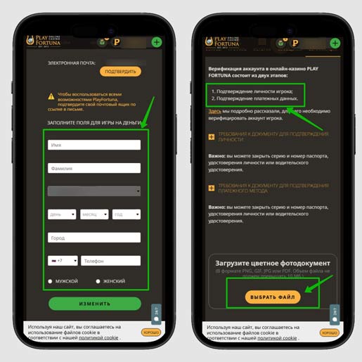 Верификация игрока